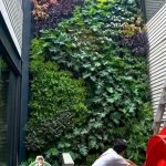 Biaya Vertical Garden Depok