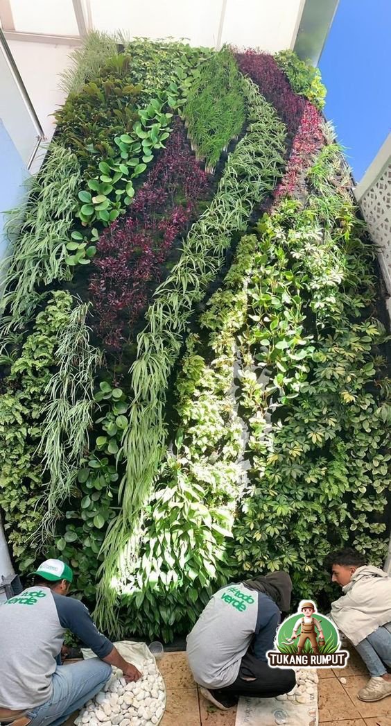 Jasa Pembuatan Vertical Garden Cibodas