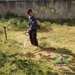 Jasa Potong Rumput di Bogor Terdekat Panggilan