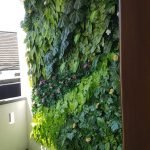 Pemasangan Vertical Garden Depok