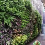 Taman Vertikal Sintetis Harga Per Meter Murah Siap Buat di Lokasi