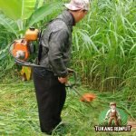 Jasa Potong Rumput di Bogor Terdekat Panggilan