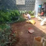Jasa Tukang Taman Terdekat dari Lokasi Anda