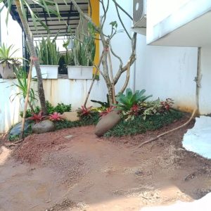 Jasa Tukang Taman Bintaro