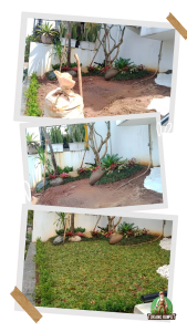 Jasa Pembuatan Taman Murah