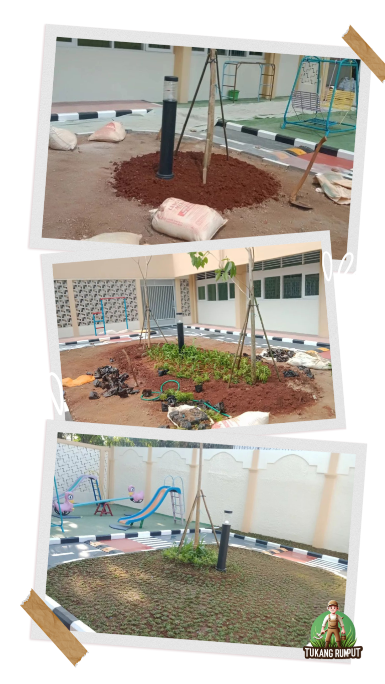 Hasil Pekerjaan Penanaman Rumput Gajah Mini