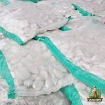 Jual Batu Taman Putih Koral Setapak untuk Pembatas Taman Harga