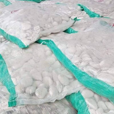 jual Batu taman Koral