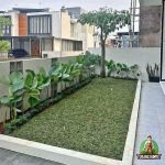 Tukang Taman Mampang Prapatan Profesional, Rapi & Berpengalaman