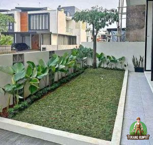 Taman Pisang Chalatea