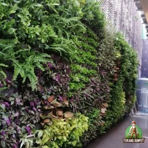 Jasa Pembuatan Vertical Garden Tanaman Asli