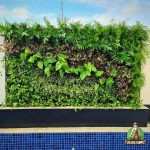 Jasa Vertical Garden Duren Sawit – Tukang Taman Vertikal Duren Sawit