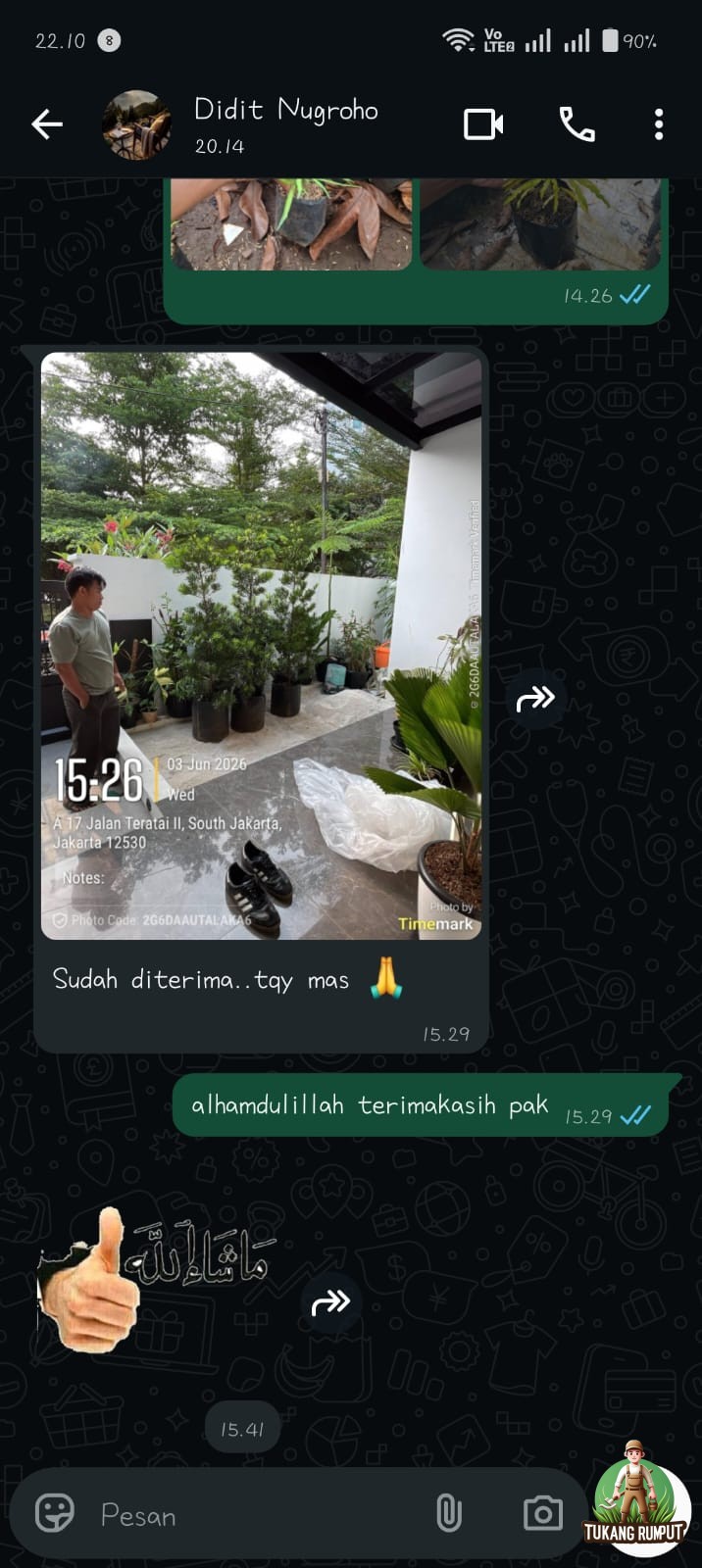 Pengiriman Pohon Lohansung kerumah Pak didit