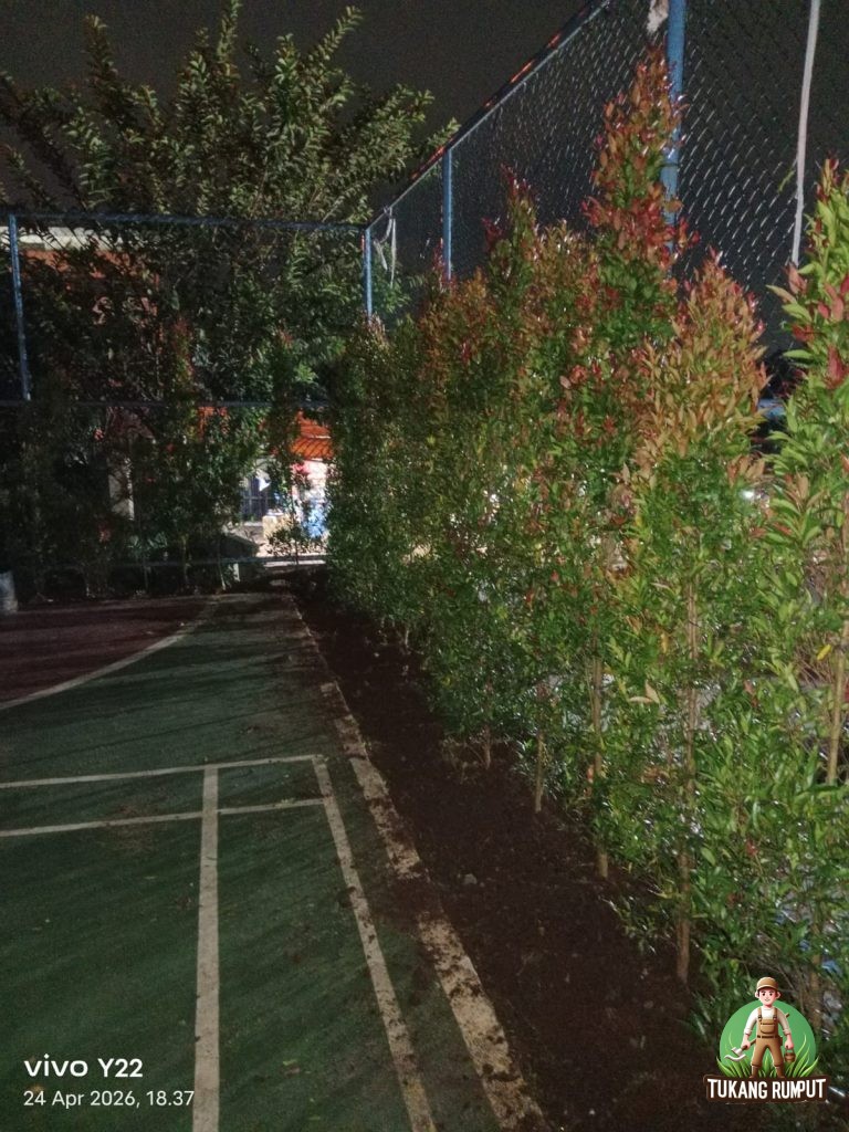 pemasangan pohon pucuk merah bapak ari abu khalid untuk yayasan islam al huda bogor