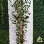 Jual Bambu Artificial