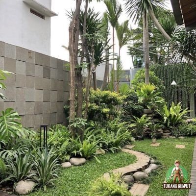 Paket Taman Tropis