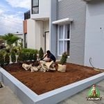 Pembuatan Taman Dengan Rumput Gajah Mini dan Pucuk Merah serta palem Putri