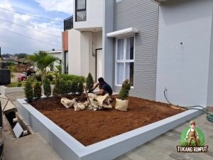 Pembuatan Taman Dengan Rumput Gajah Mini dan Pucuk Merah serta palem Putri