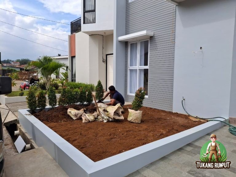 Cara Menjaga Taman Tetap Sehat: Penyiraman, Pemangkasan, Tanah, dan Drainase