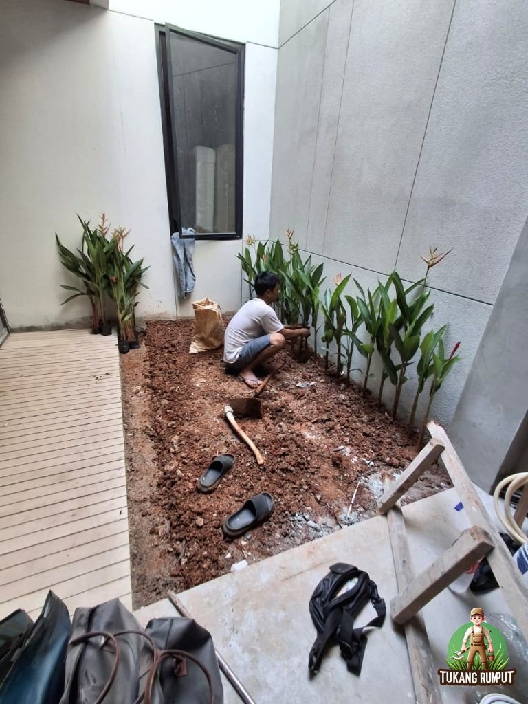 Pembuatan Taman Minimalis di Bintaro