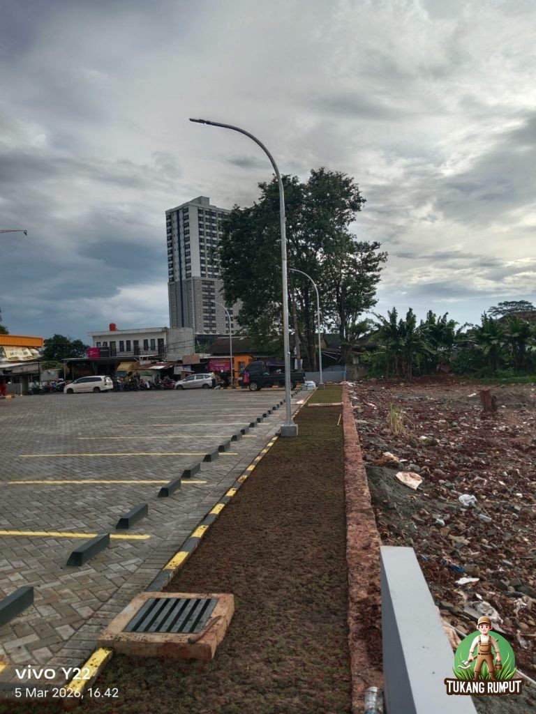 Penanaman rumput Golf di B-Quik Ciputat Cendrawasih