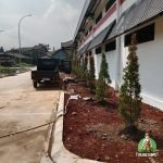Penanaman Pucuk Merah di Cibinong