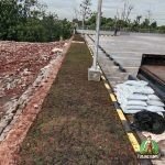 Penanaman Rumput Golf di Ciputat