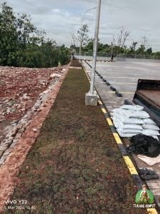 Penanaman Rumput Golf di Ciputat