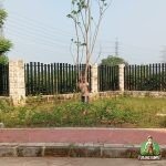 Penanaman pohon trembesi di cikupa