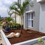 Proses Penanaman Pohon Pucuk merah di Dramaga Bogor