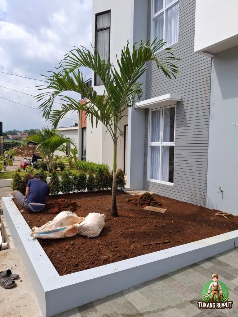 Strategi Menata Taman di Lahan Sempit Tanpa Membuat Area Terasa Penuh
