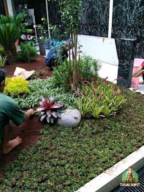 Renovasi Taman di Sentul