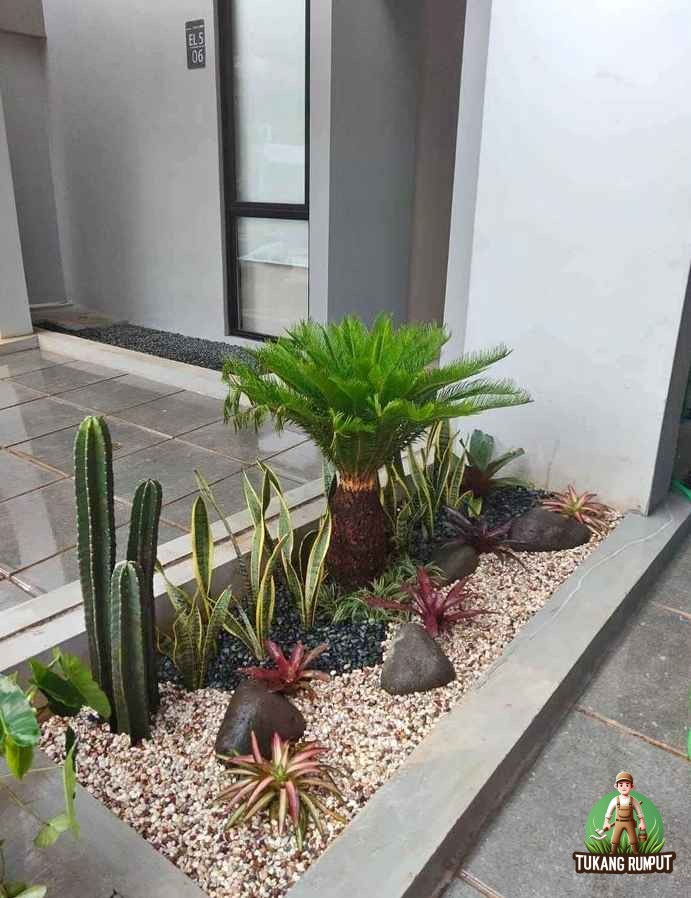 Taman Kering Minimalis