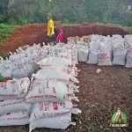 Jual Tanah merah untuk Taman Subur bisa untuk Urugan Taman