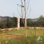 project pergantian pohon trembesi di cikupa