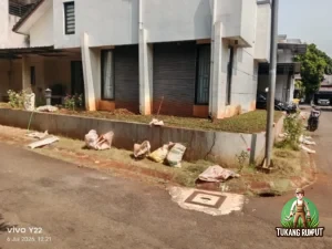Hasil Akhir Penanaman