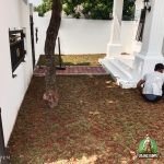 Hasil Penanaman Gajah mini proyek di bekasi