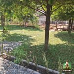 Pemasangan Rumput di Bogor Utara