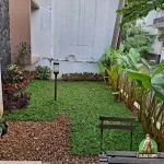 Hasil Penanaman Rumput Gajah Mini Sentul
