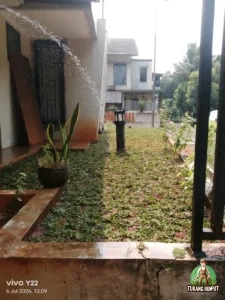 Hasil Penanaman di Cibubur