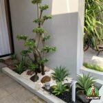 Paket Taman Kering Ukuran 1 x 4 Meter Harga Rp5 Juta
