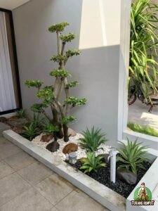 Paket Taman Kering