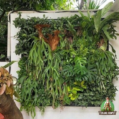 Paket Taman Vertical Garden