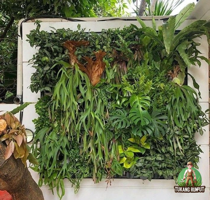 Vertical Garden Asli — Rangka Besi & Pot di Batuceper