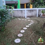 Pemasangan Rumput Gajah Mini dan Bonsai Anting Putri