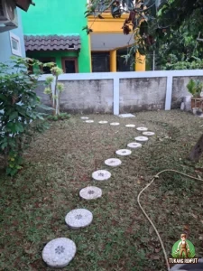 Pemasangan Rumput Gajah Mini dan Bonsai Anting Putri