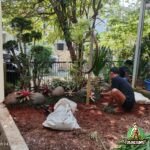 Proses Pemasangan Taman Bogor