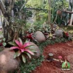 Proses Pembuatan Taman di Bogor