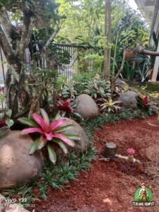 Proses Pembuatan Taman di Bogor
