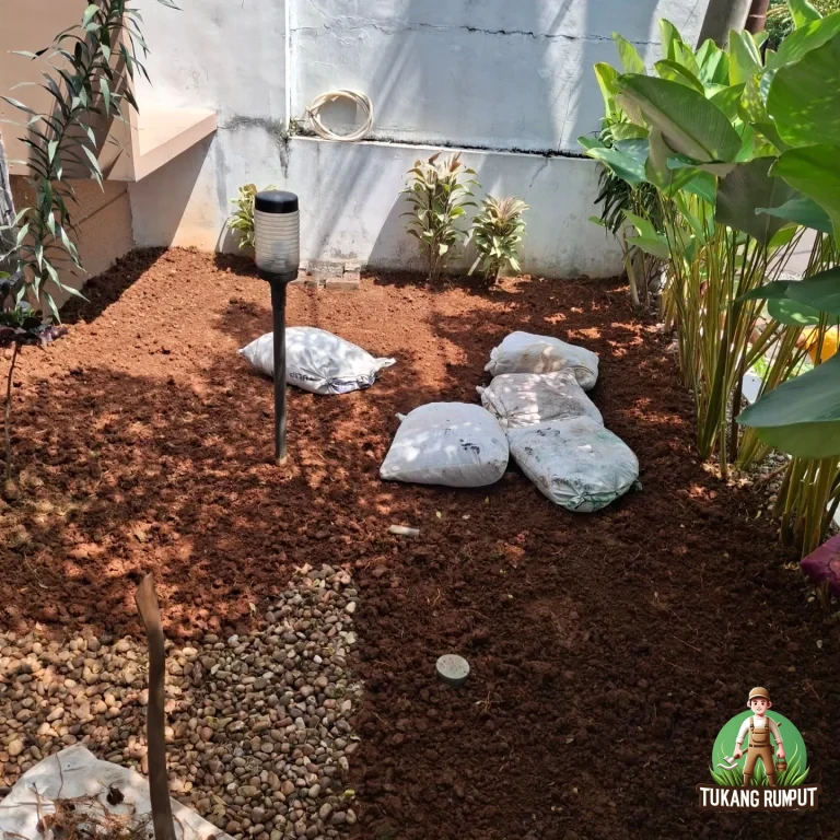 Cara Memilih Tanaman Taman Berdasarkan Cahaya, Tanah, dan Ukuran Dewasa